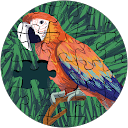 Ingledew profile picture